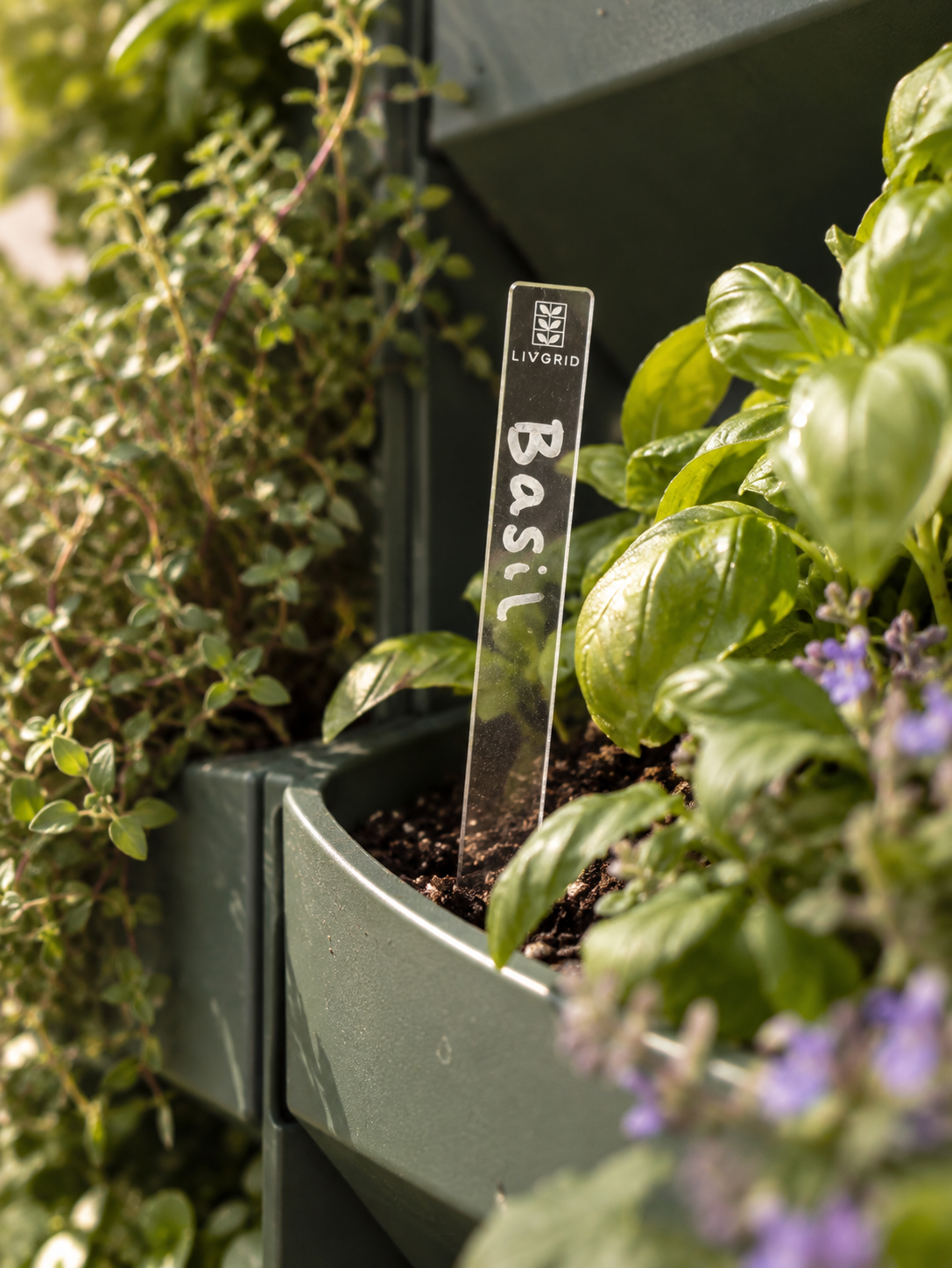 Plant labels