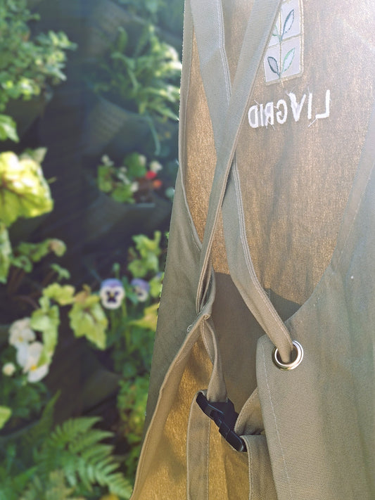 Apron Apron