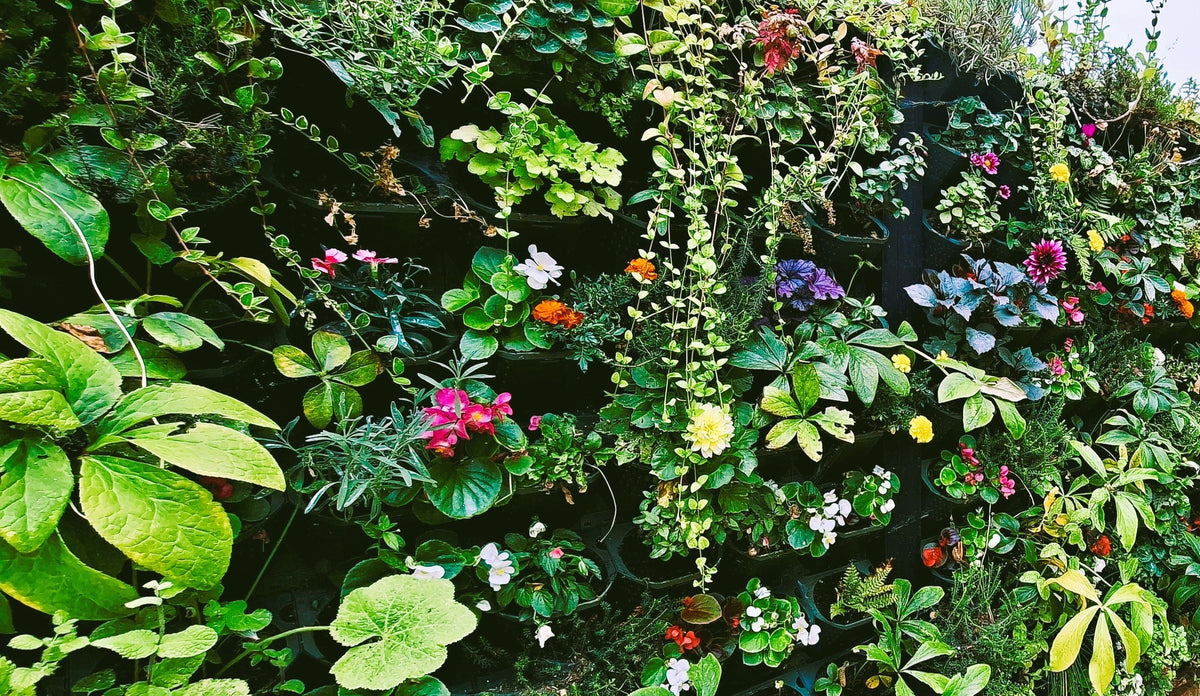 A dense vertical garden wall filled with lush green foliage and small colorful flowers, including pink, purple, yellow, and white blossoms.