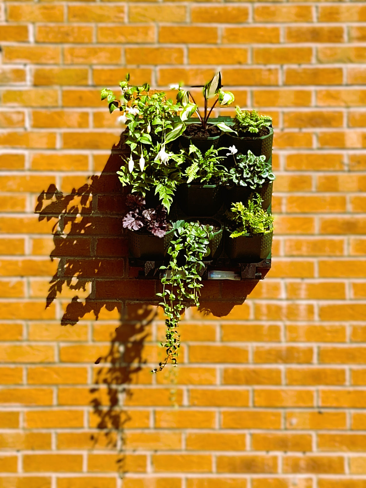 LivGrid modular living wall system