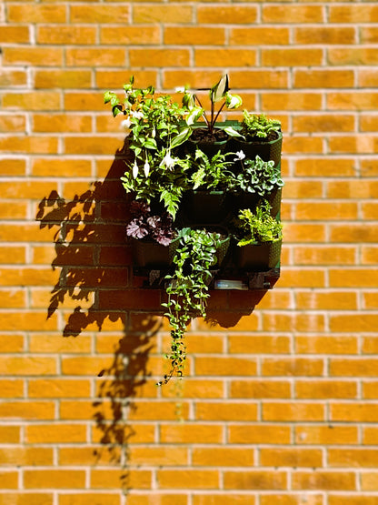 LivGrid modular living wall system