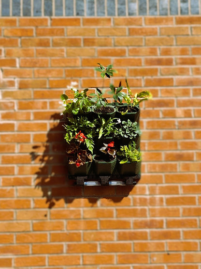 LivGrid modular living wall system