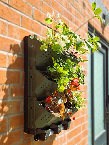 LivGrid modular living wall system
