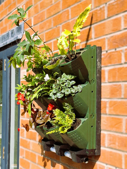LivGrid modular living wall system