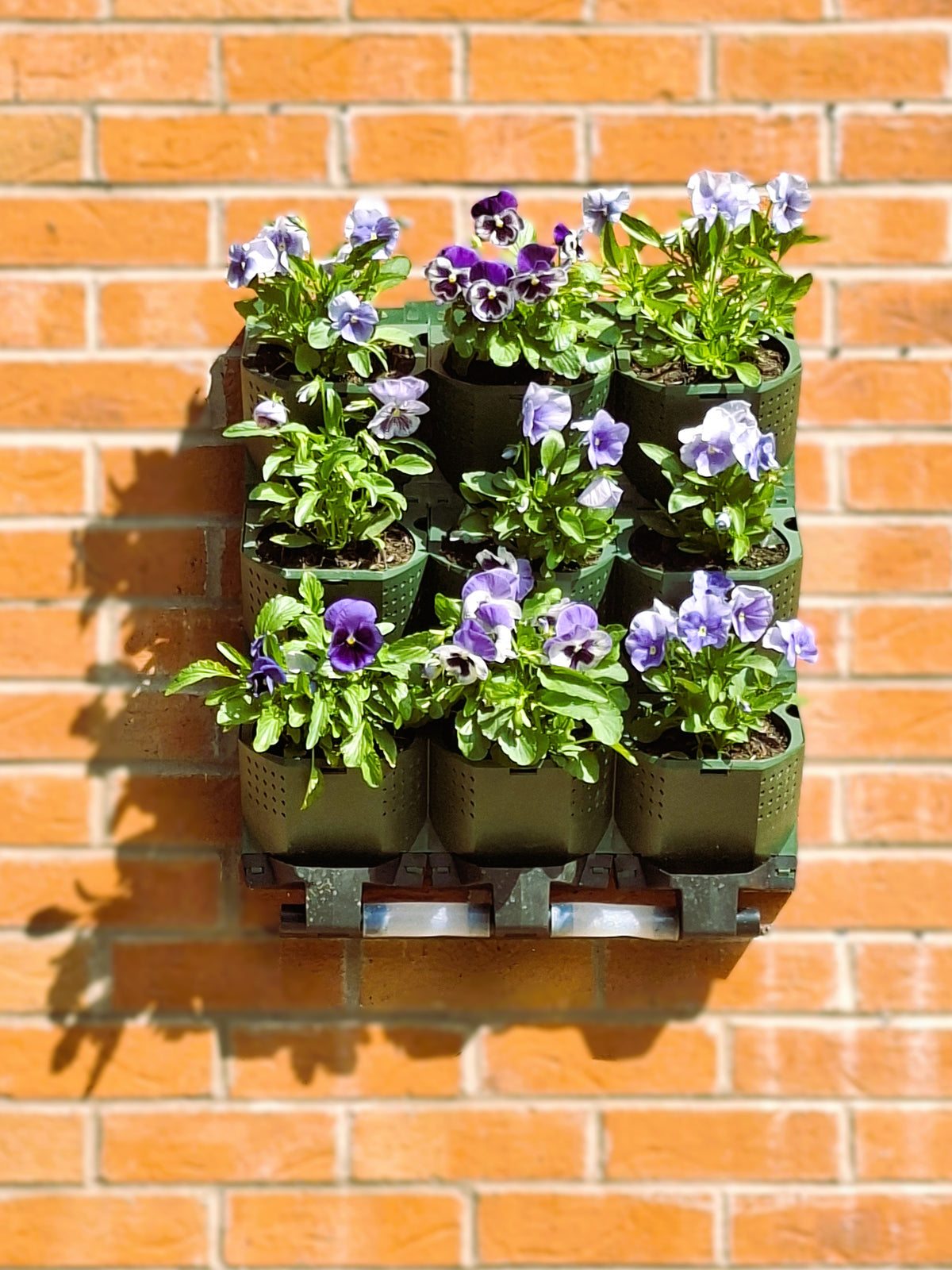 LivGrid modular living wall system