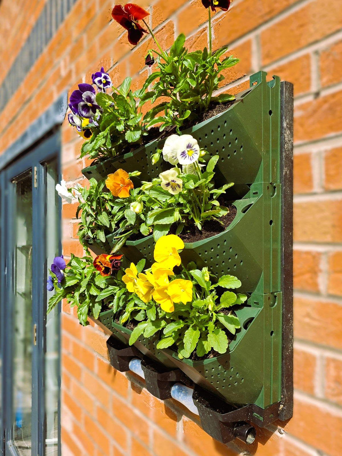 LivGrid modular living wall system