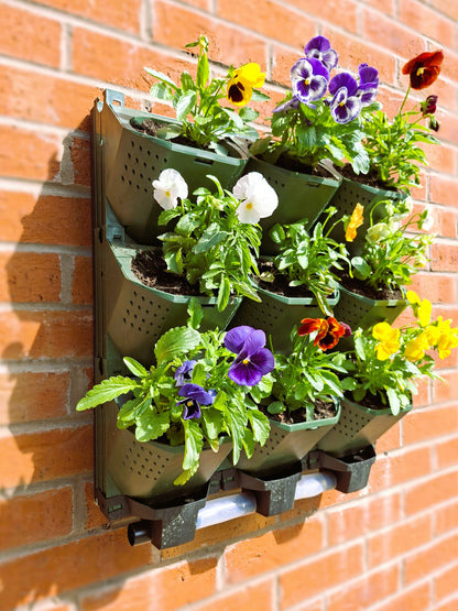 LivGrid modular living wall system