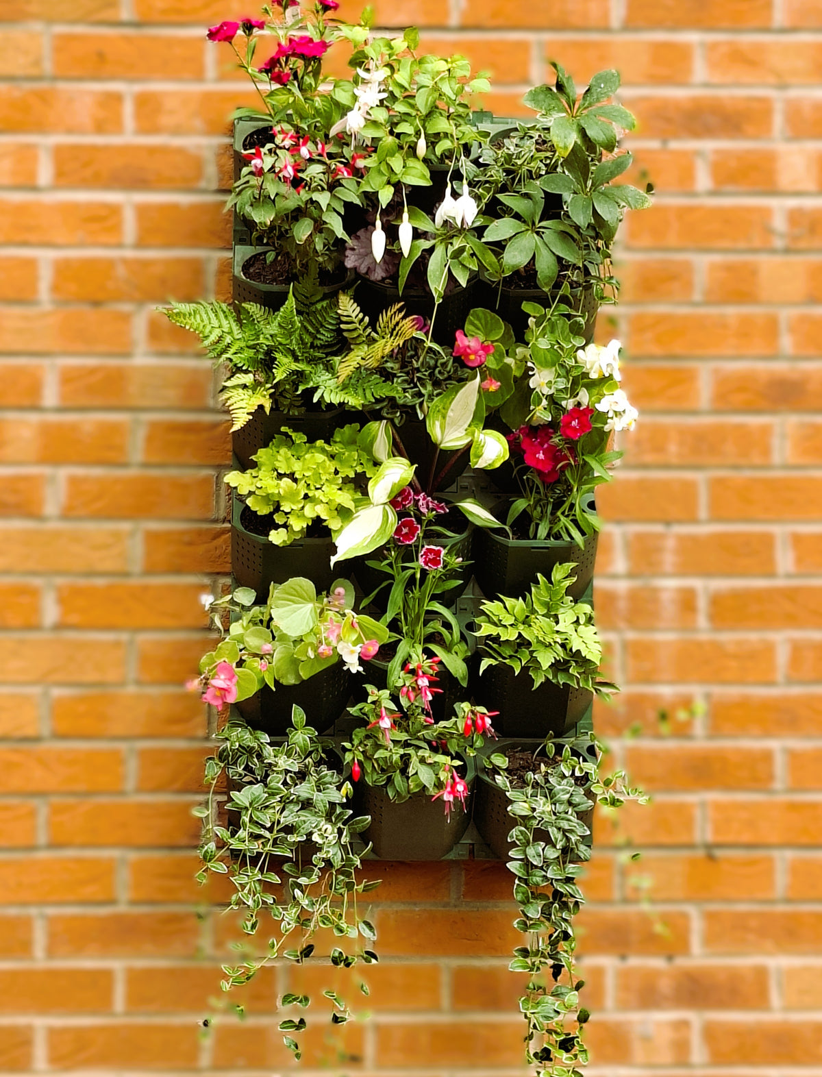 LivGrid modular living wall system