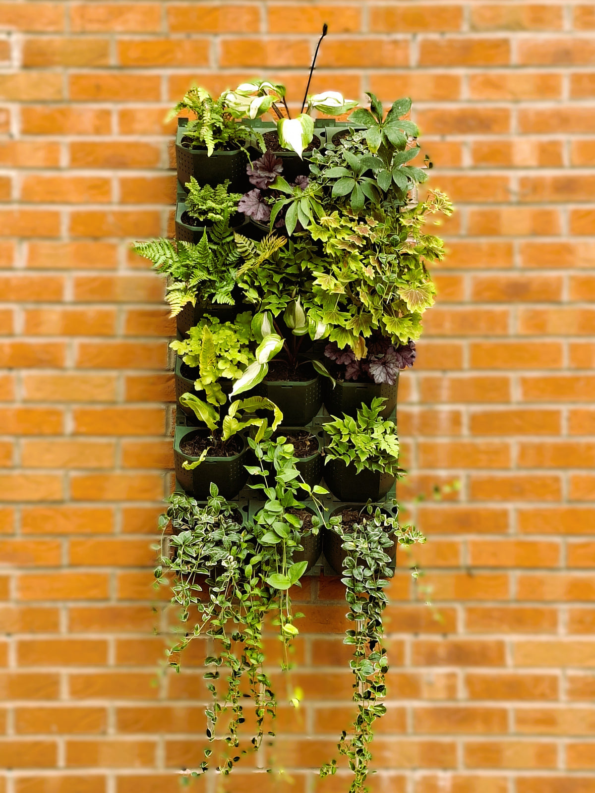 LivGrid modular living wall system