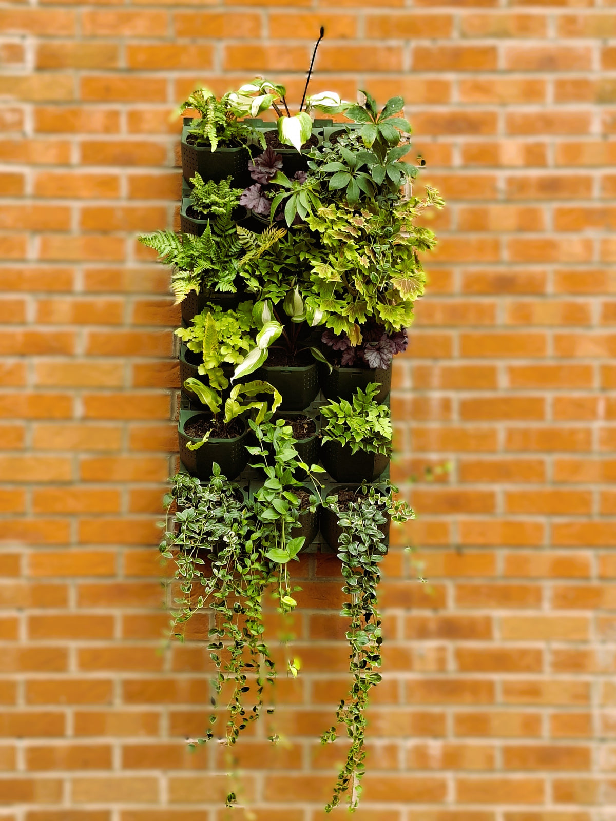 LivGrid modular living wall system