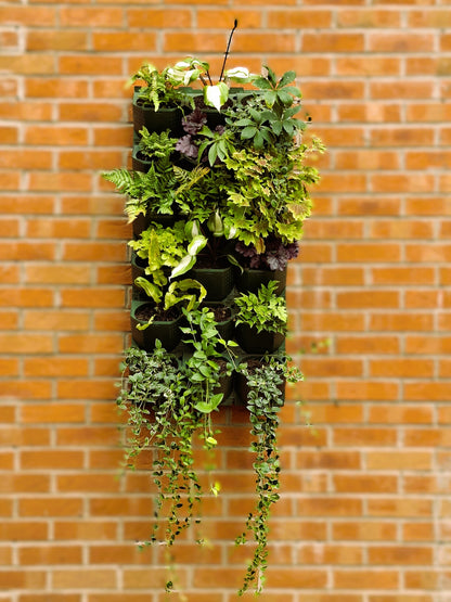 LivGrid modular living wall system