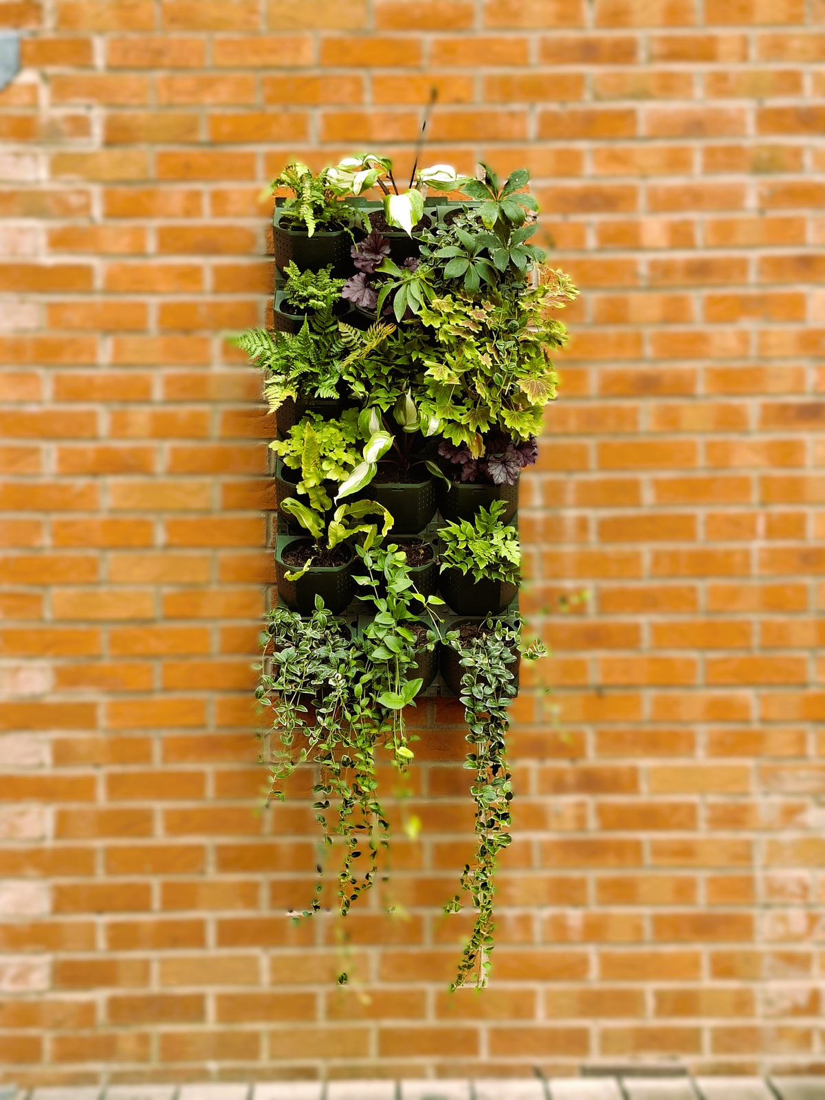 LivGrid modular living wall system