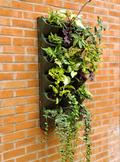 LivGrid modular living wall system