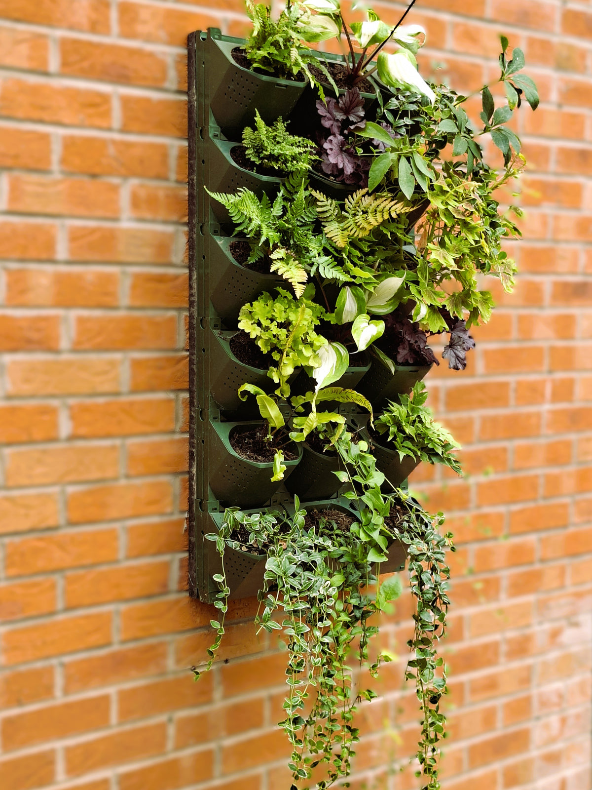 0.5m² LivGrid Kit