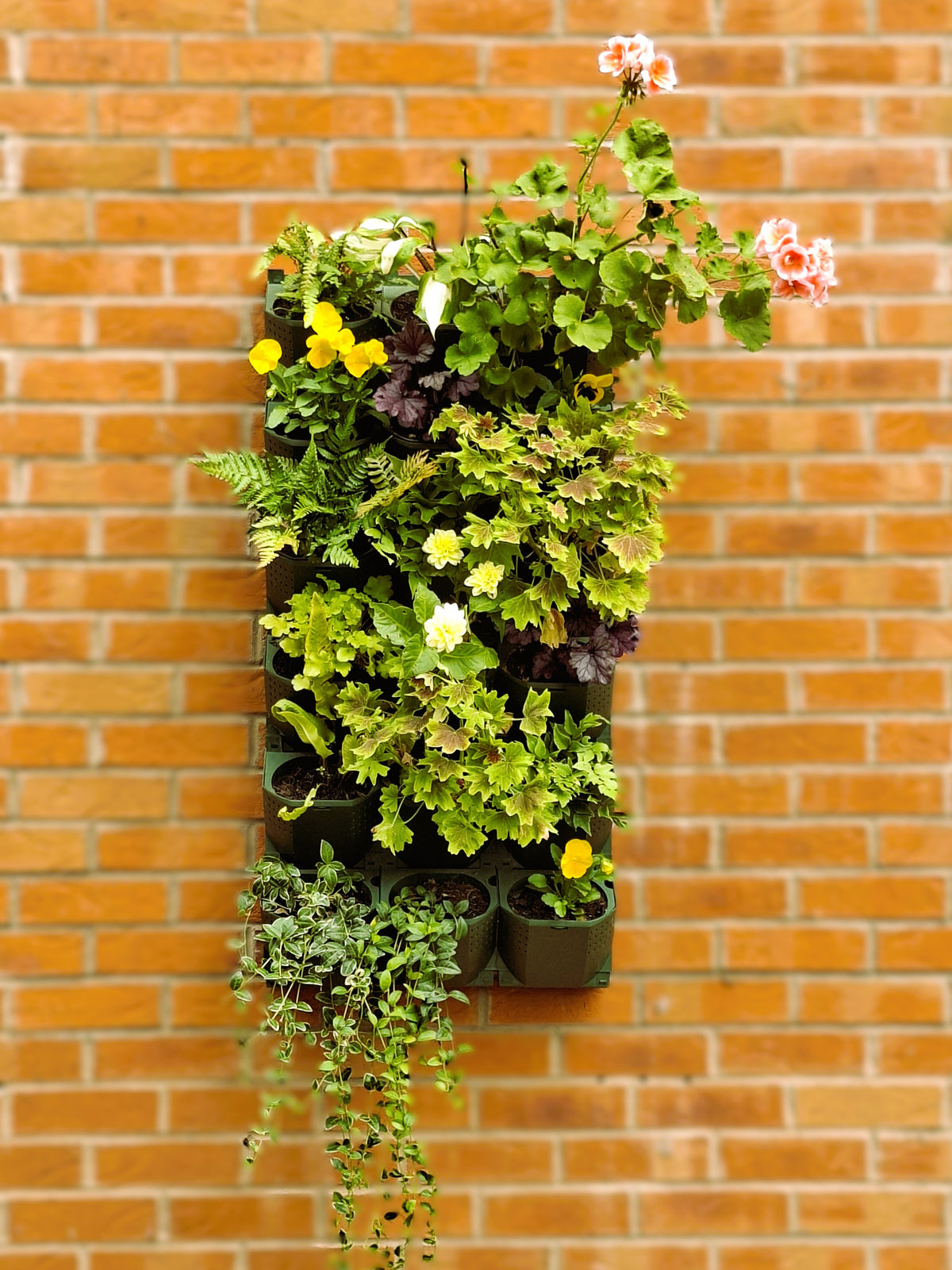 LivGrid modular living wall system