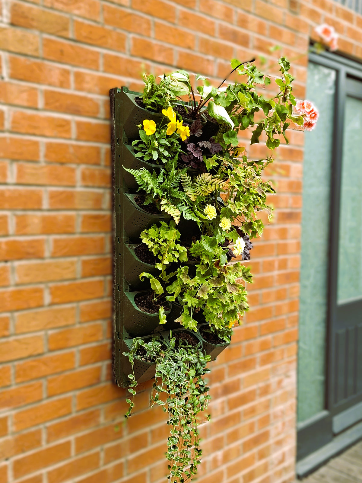 LivGrid modular living wall system