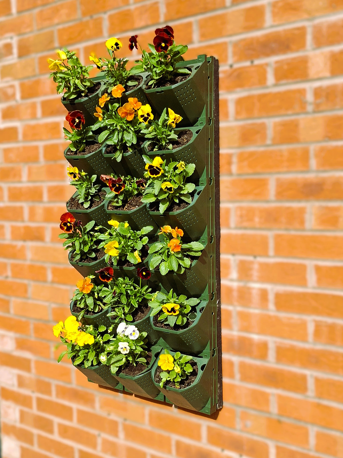 LivGrid modular living wall system