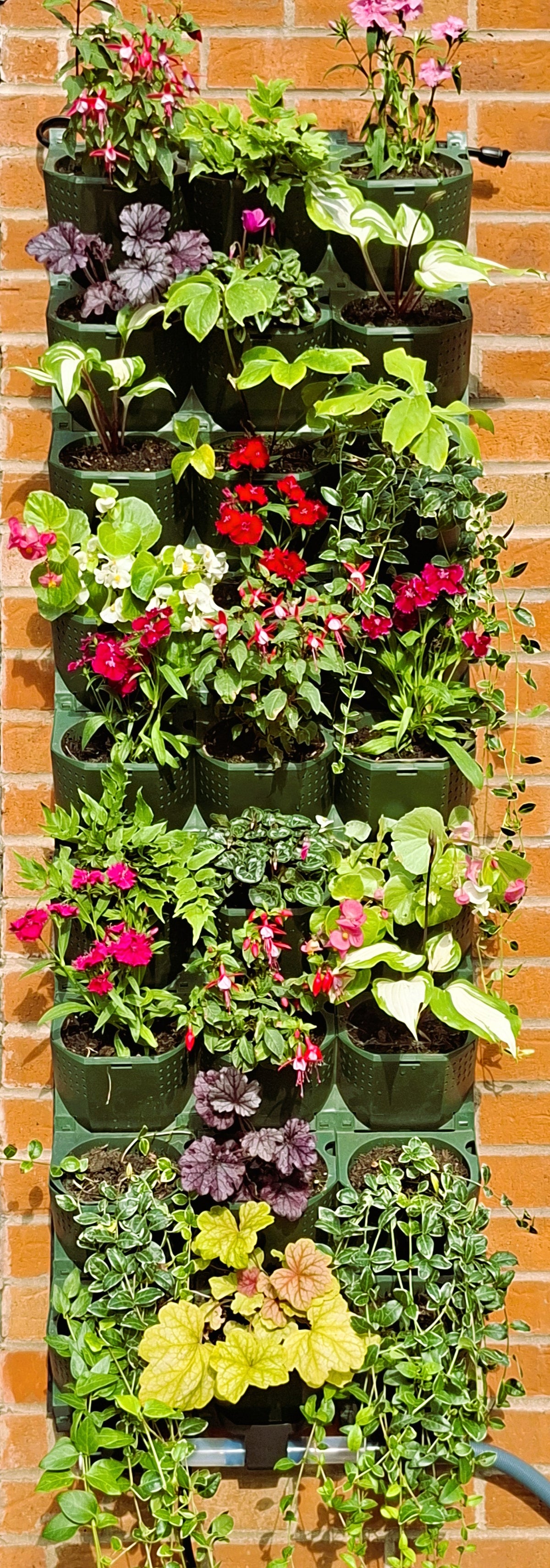 LivGrid modular living wall system