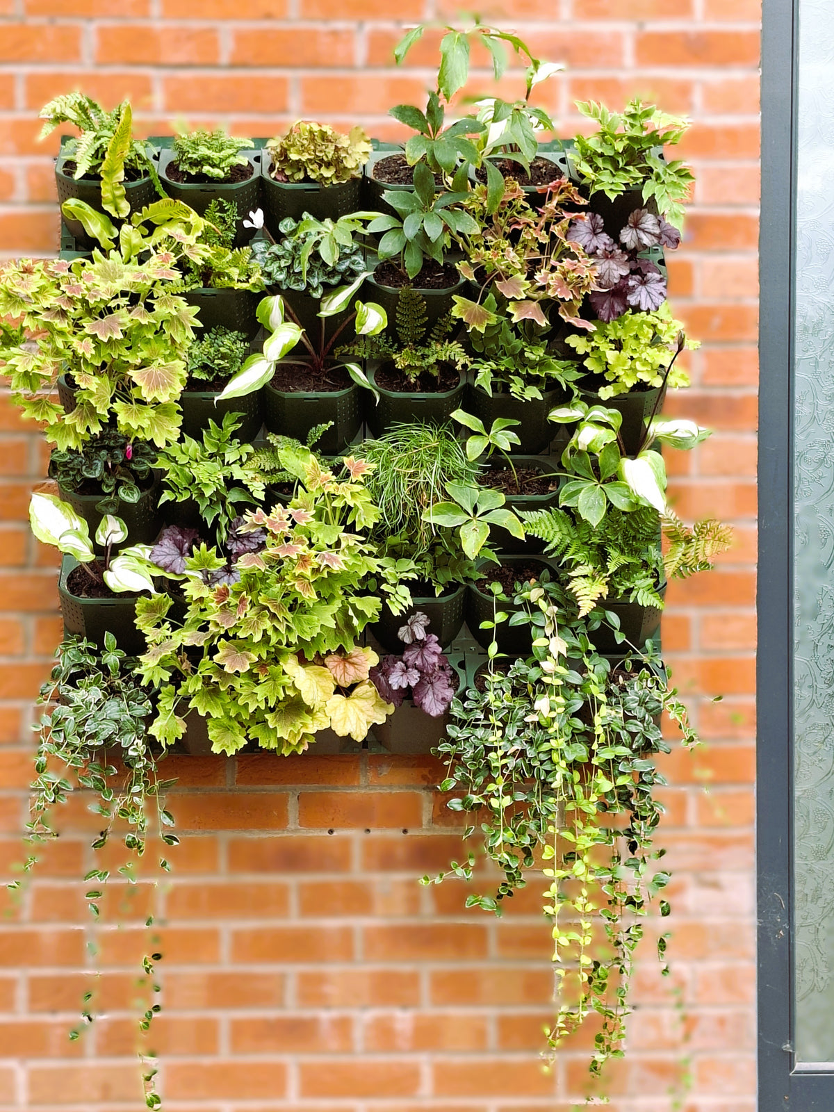 LivGrid modular living wall system