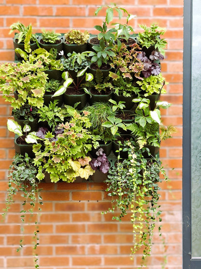 LivGrid modular living wall system