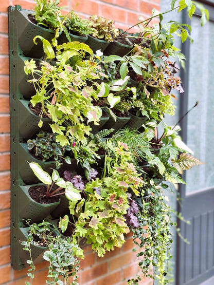 LivGrid modular living wall system