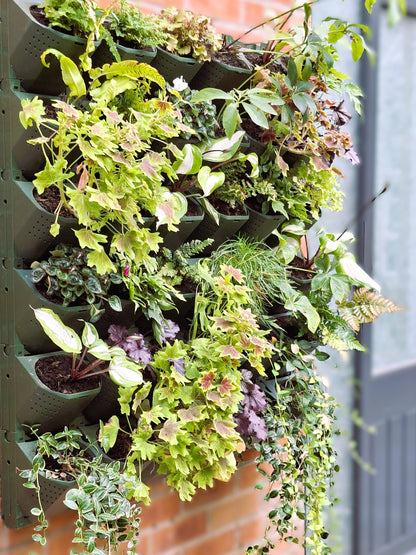 LivGrid modular living wall system