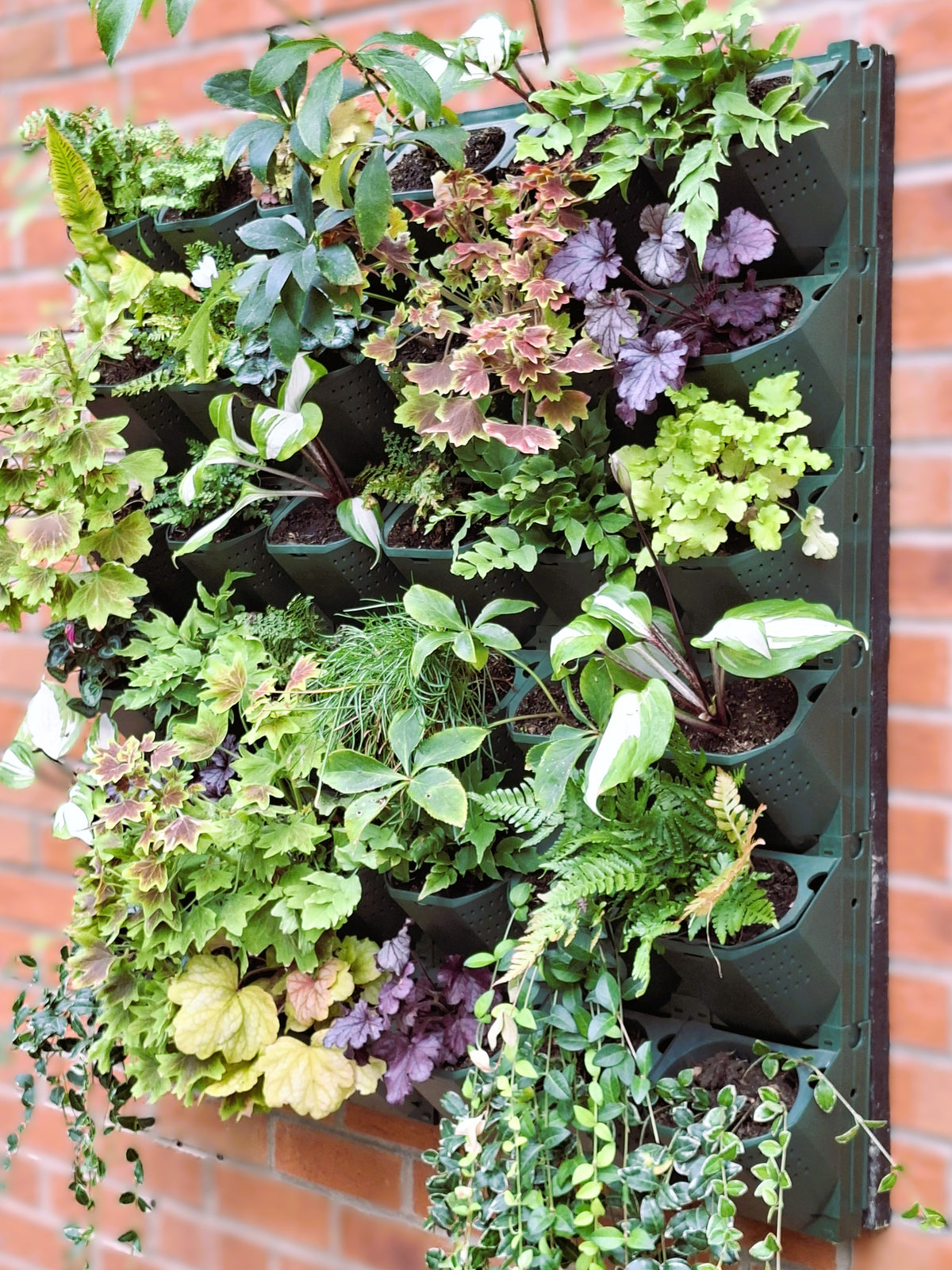 LivGrid modular living wall system