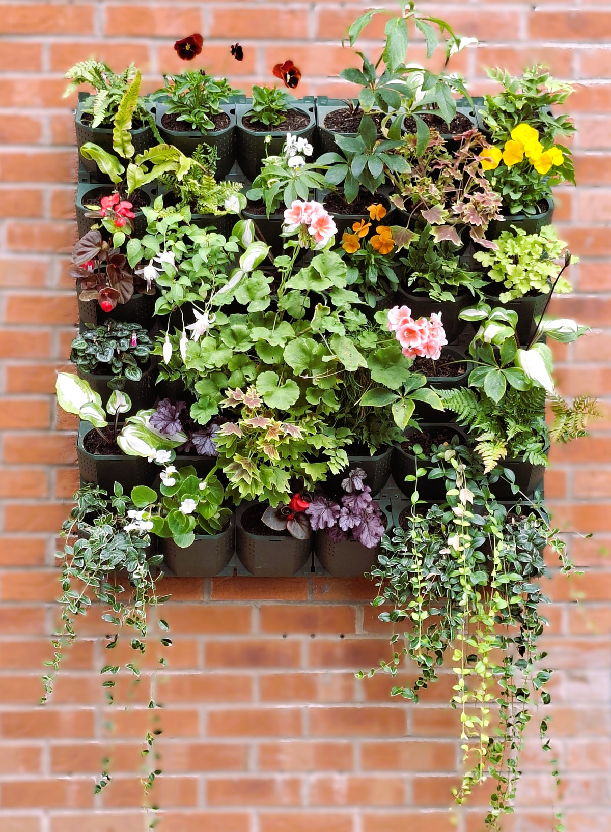 LivGrid modular living wall system