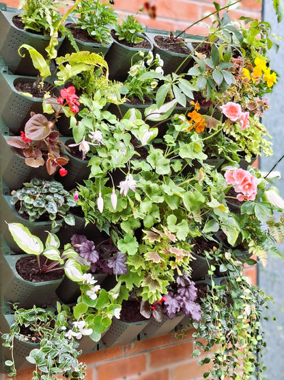 LivGrid modular living wall system