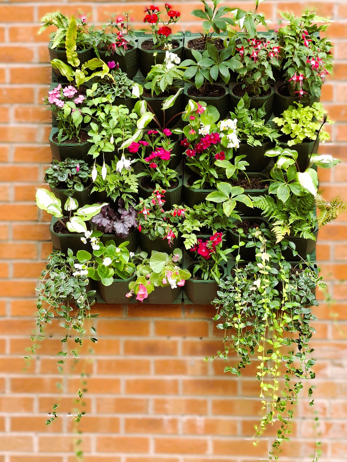 LivGrid modular living wall system