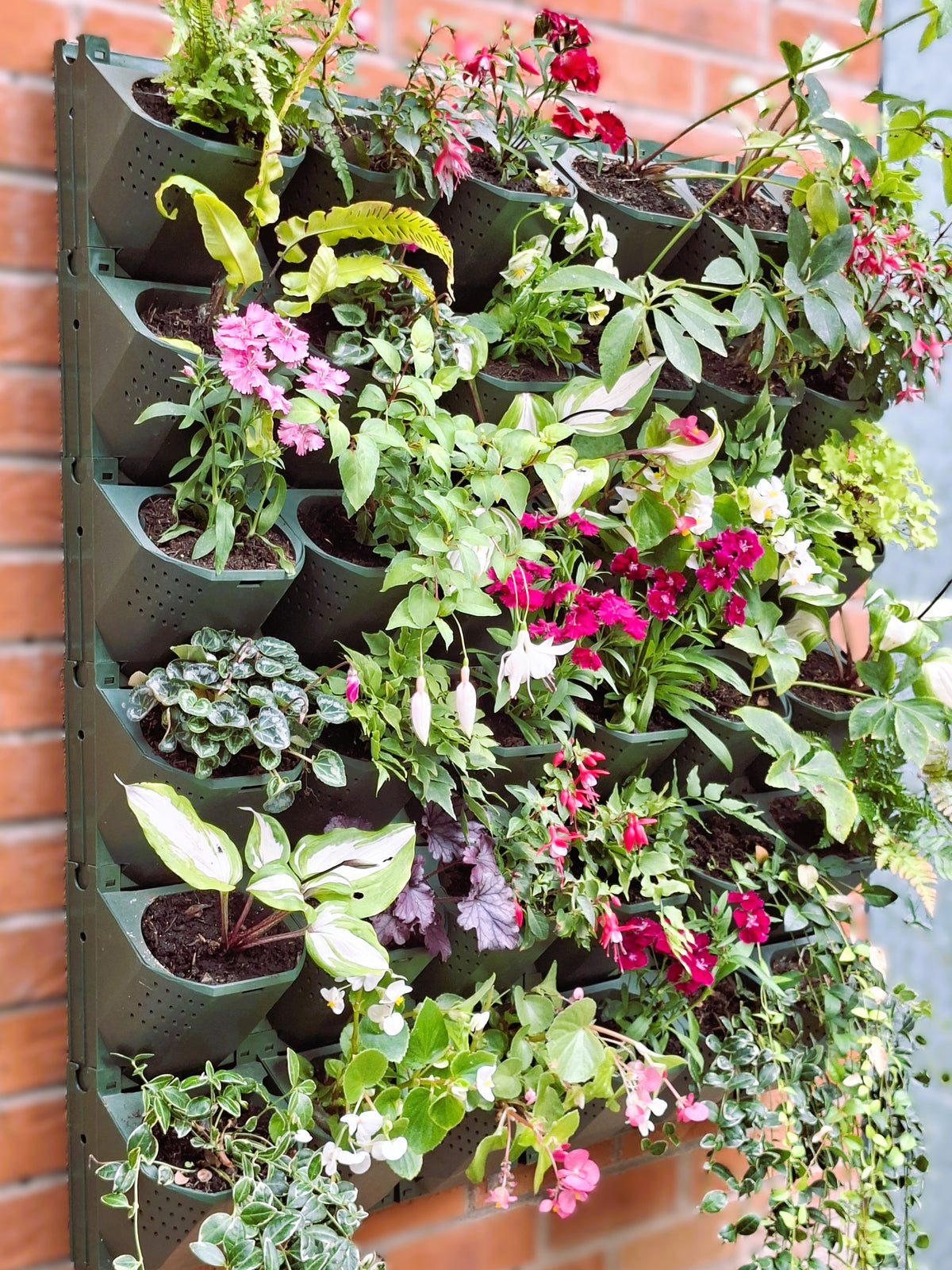 LivGrid modular living wall system
