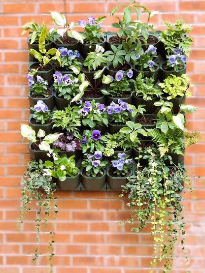 LivGrid modular living wall system