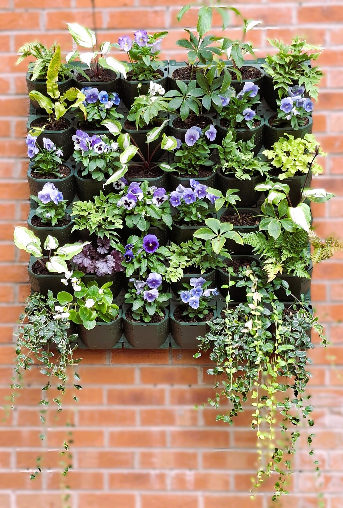LivGrid modular living wall system