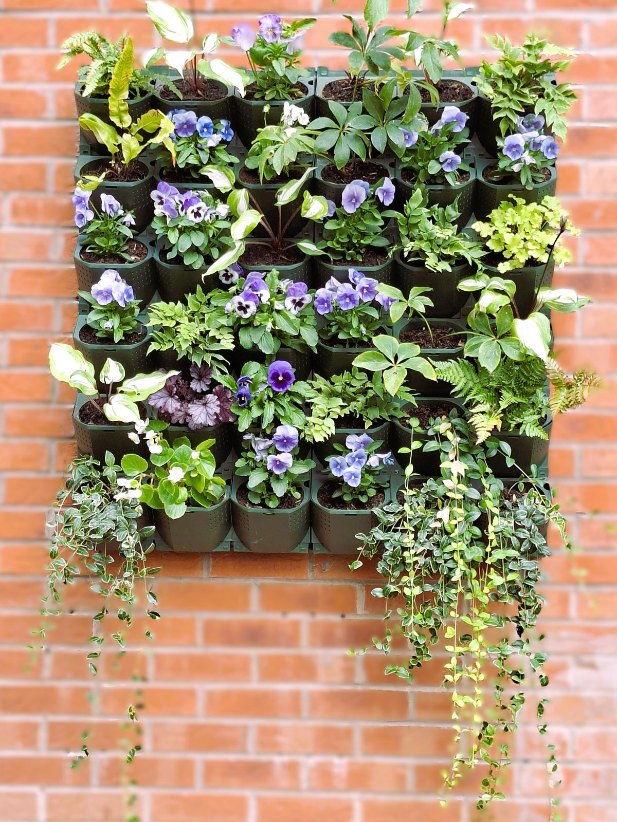LivGrid modular living wall system