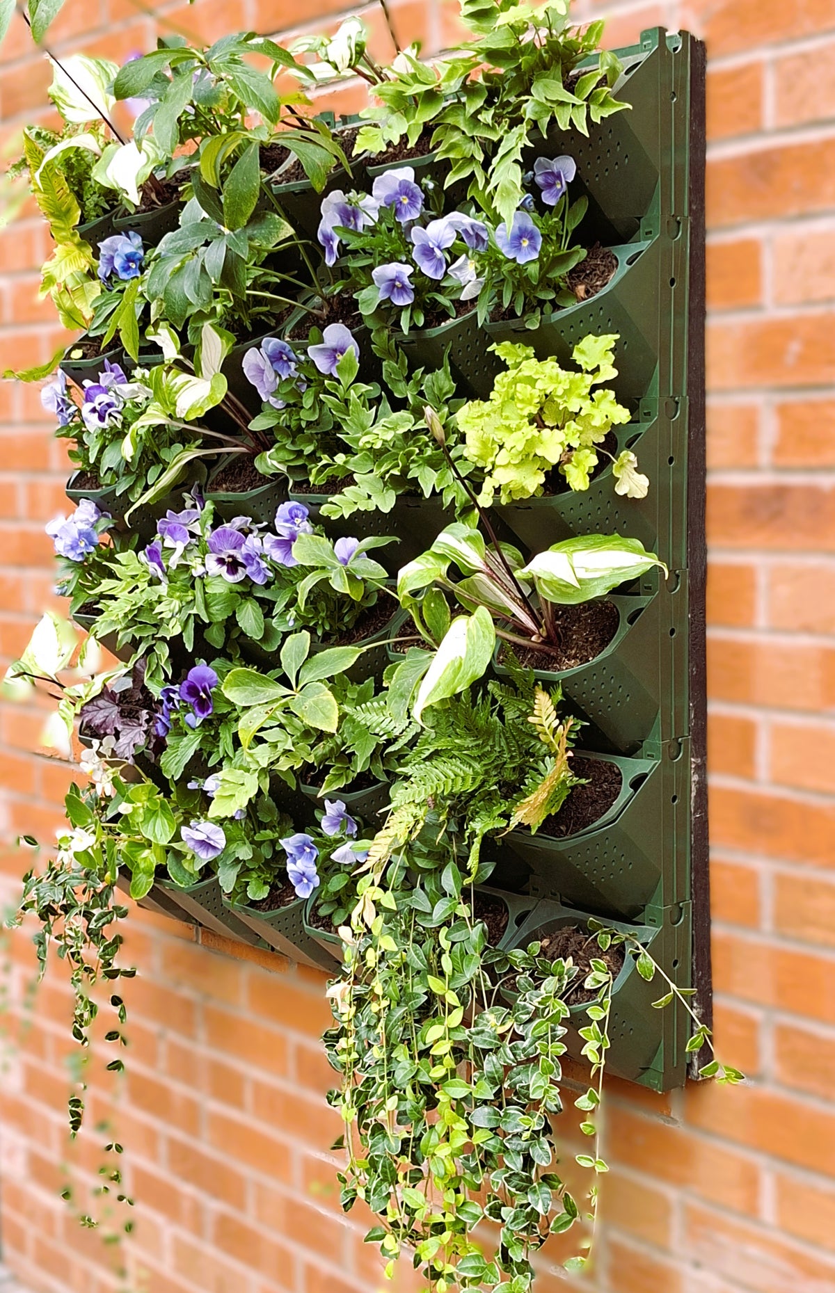 LivGrid modular living wall system