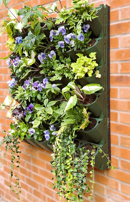 LivGrid modular living wall system