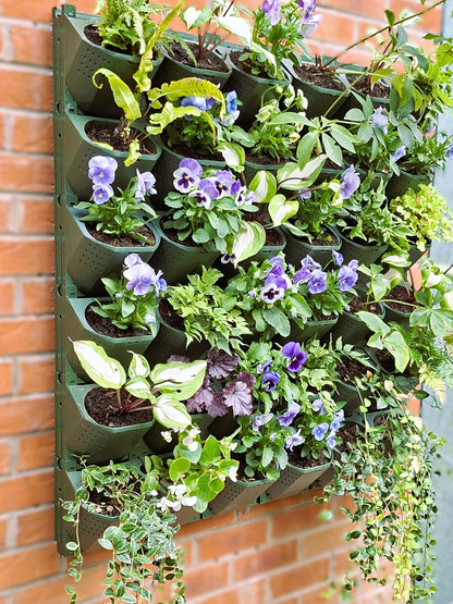 LivGrid modular living wall system