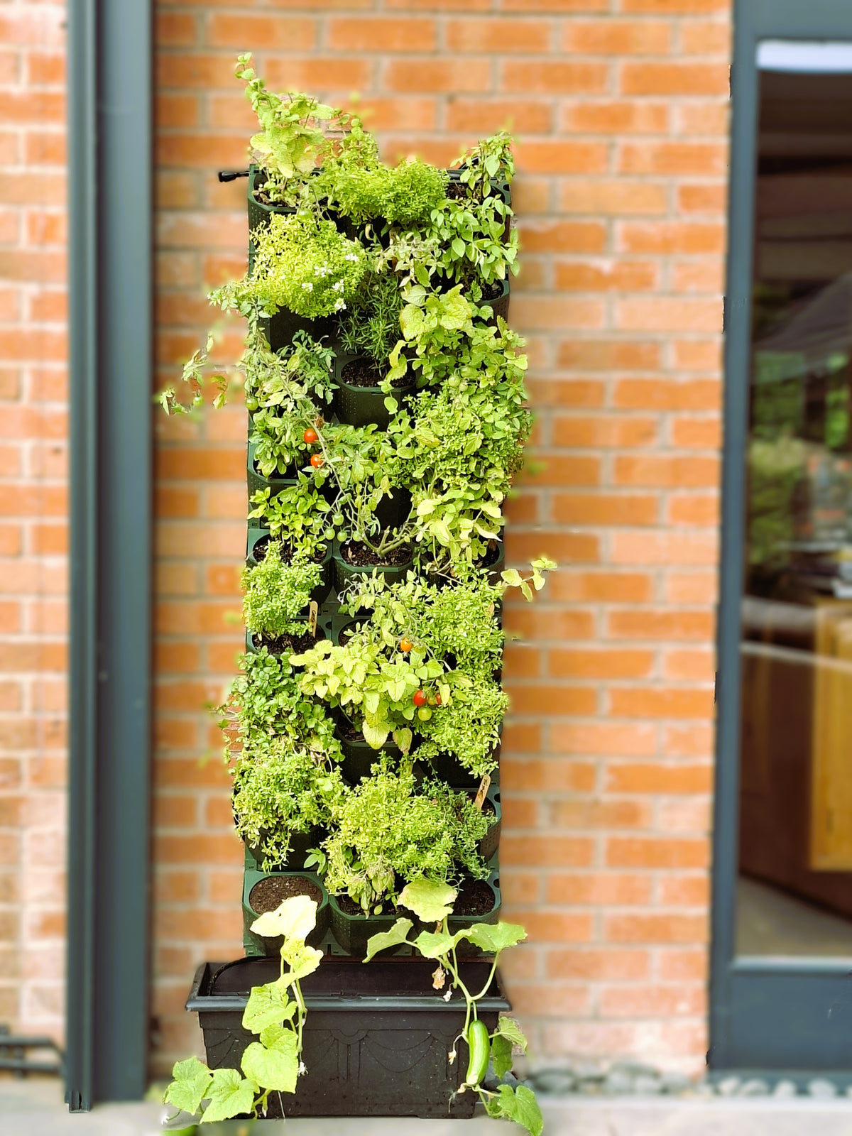 LivGrid modular living wall system