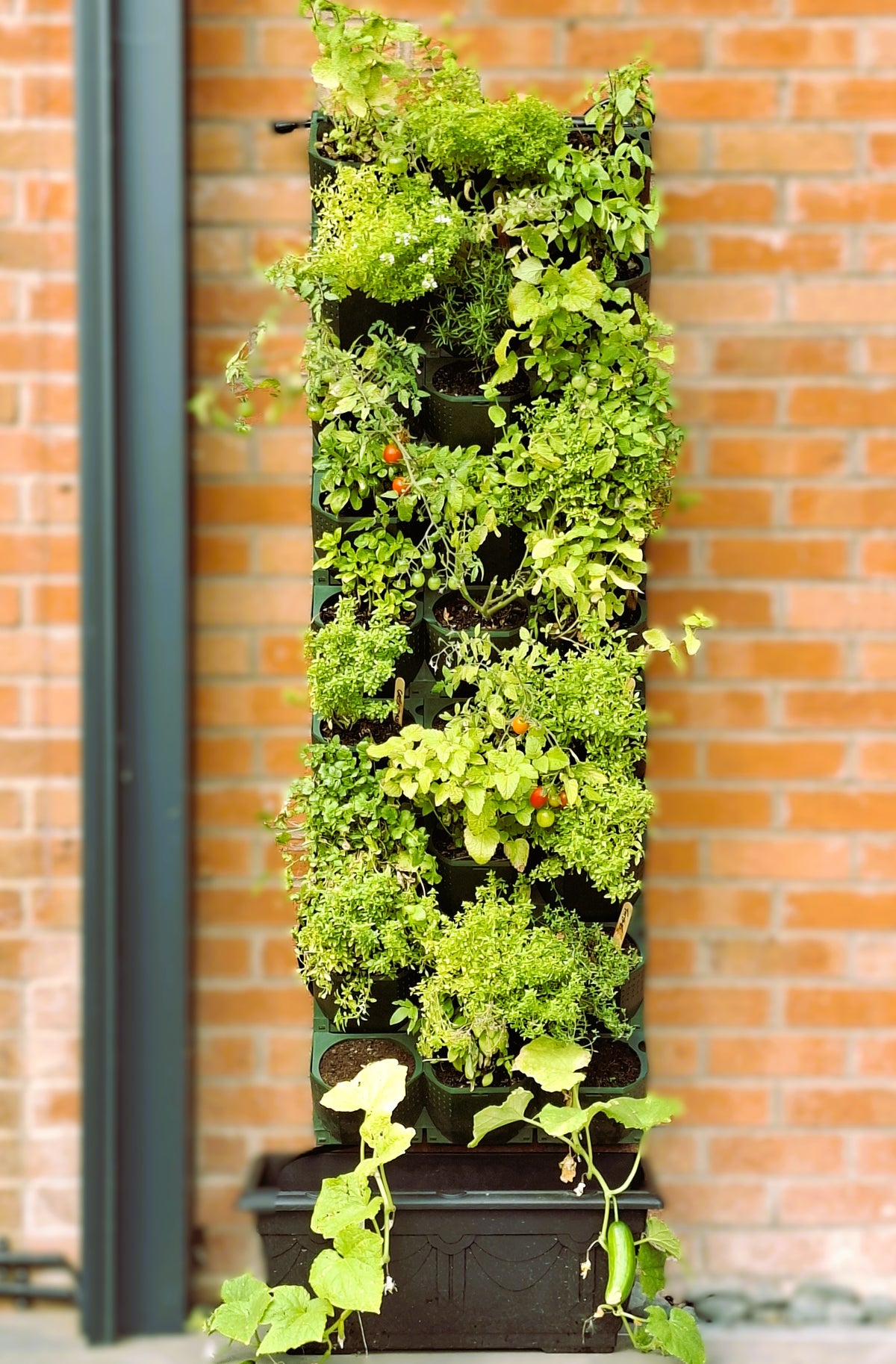 LivGrid modular living wall system