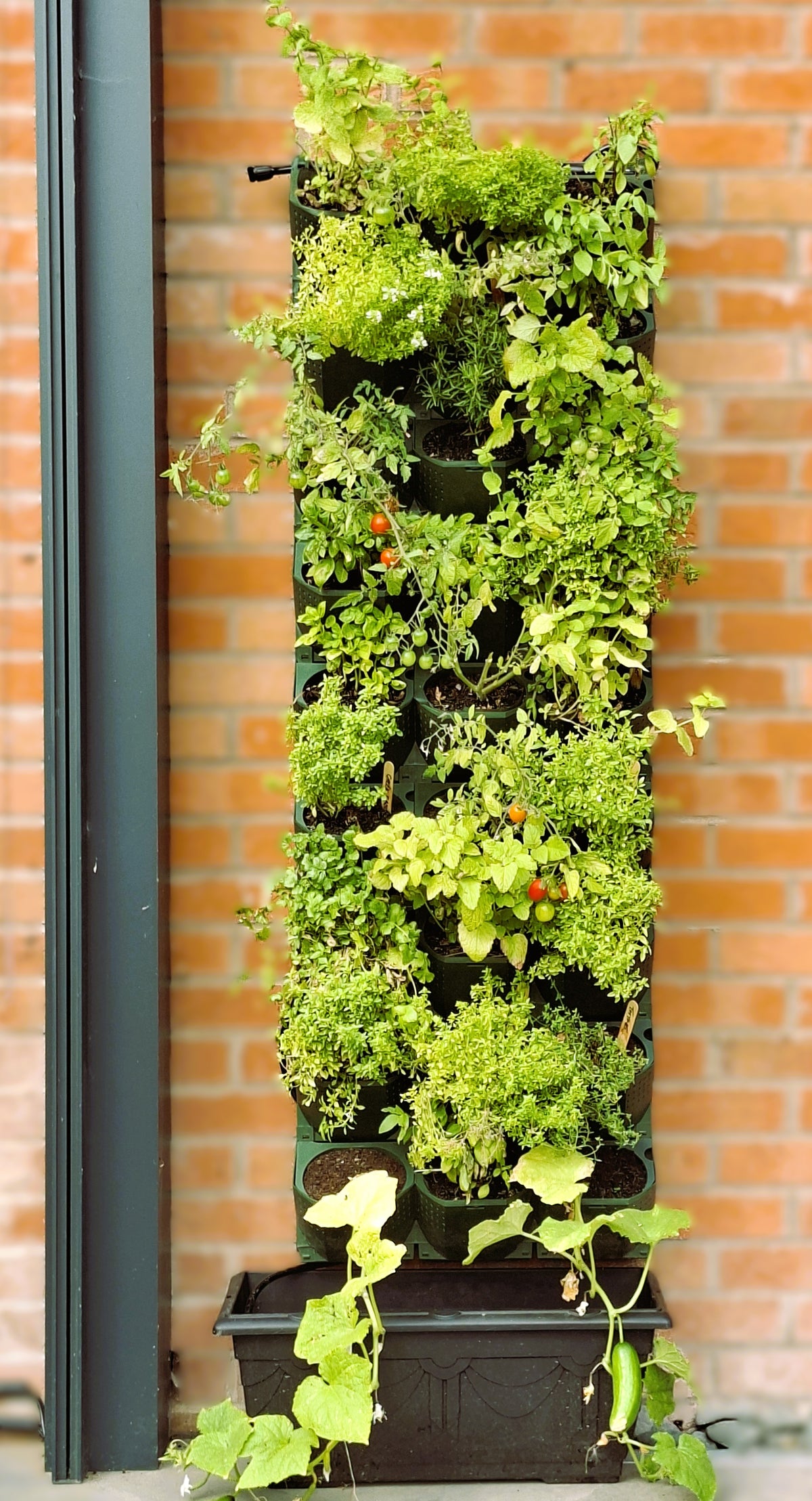 LivGrid modular living wall system