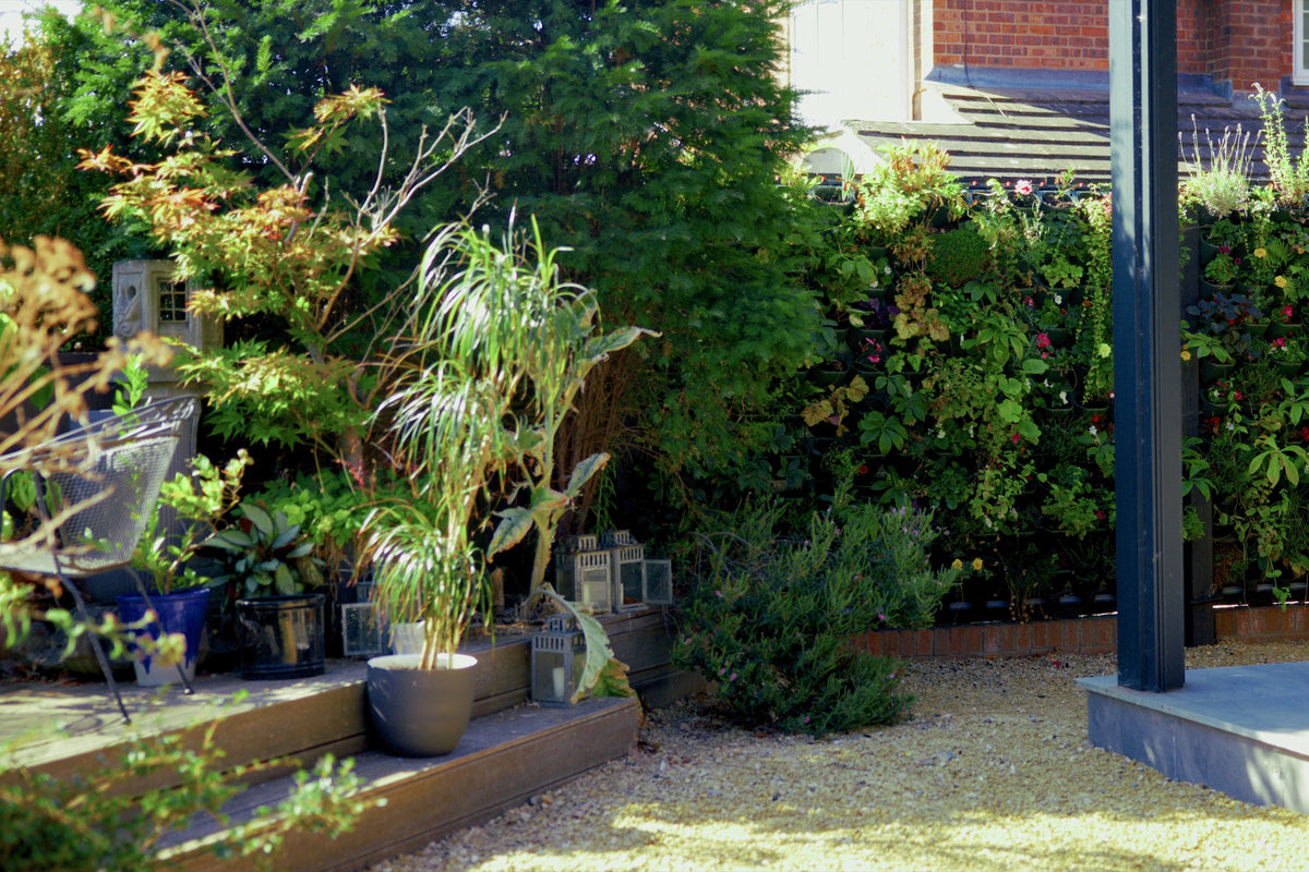 Living walls for everyone.