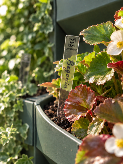 LivGrid modular living wall system