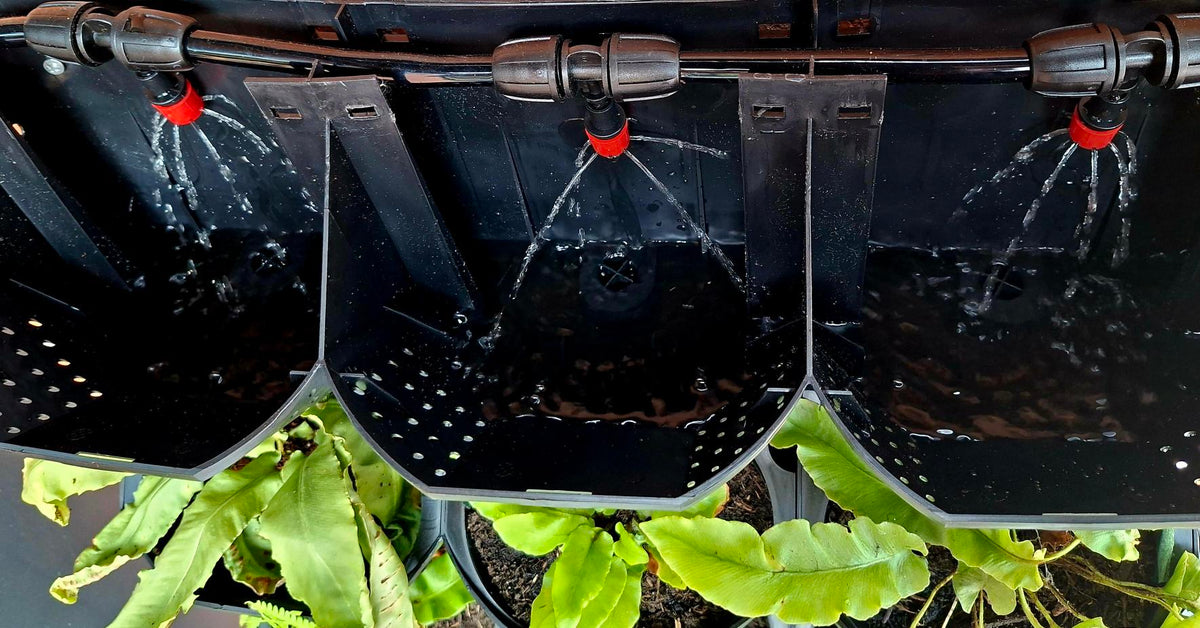 A close-up of a black hanging planter or hydroponic drip system with three perforated baskets, water dripping from nozzles above, and green plant leaves visible below.