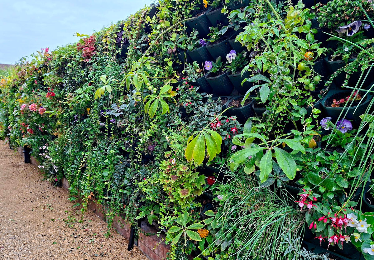 LivGrid modular living wall system