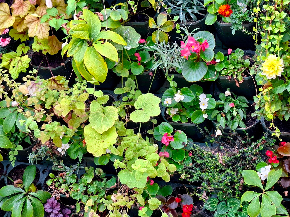 Modular Pipe Connection LivGrid Installation Guide | How to Install a Living Wall